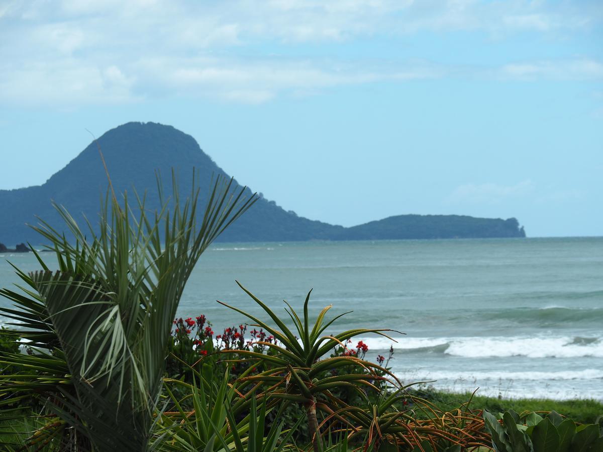 Ocean View Aparthotel Ohope Exterior photo